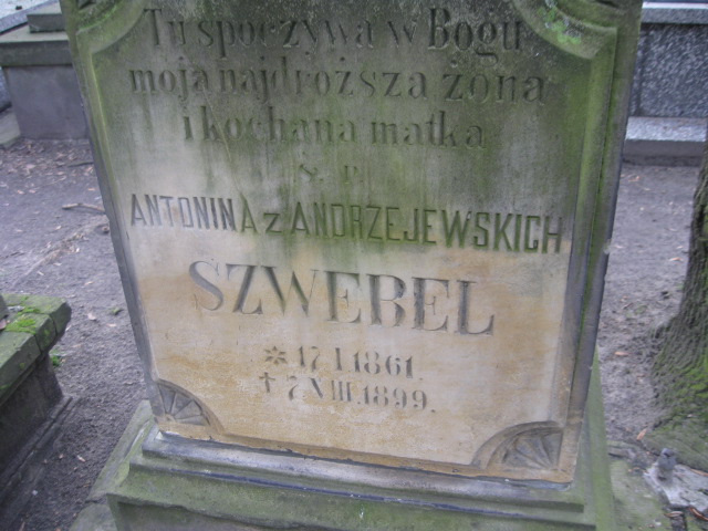 Antonina Szwebel 1861 Żyrardów - Grobonet - Wyszukiwarka osób pochowanych