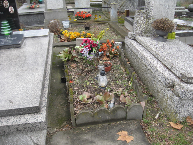 Andrzej Jurkowski 1957 Żyrardów - Grobonet - Wyszukiwarka osób pochowanych