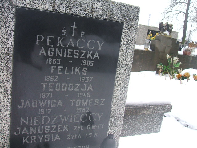 Teodozja Pękacka 1871 Żyrardów - Grobonet - Wyszukiwarka osób pochowanych