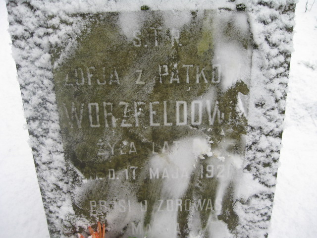 Zofia Worzfeldowa Żyrardów - Grobonet - Wyszukiwarka osób pochowanych