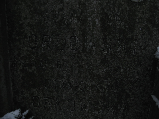 Julia Orłowska 1887 Żyrardów - Grobonet - Wyszukiwarka osób pochowanych