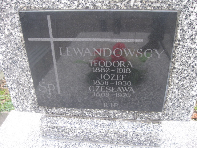 Teodora Lewandowska 1882 Żyrardów - Grobonet - Wyszukiwarka osób pochowanych