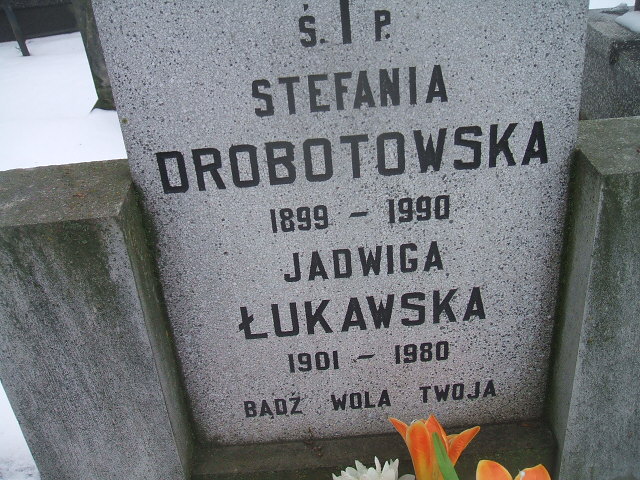 Stefania Drobotowska 1899 Żyrardów - Grobonet - Wyszukiwarka osób pochowanych
