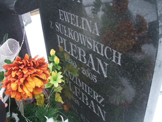 Stanisław Sułkowski 1877 Żyrardów - Grobonet - Wyszukiwarka osób pochowanych