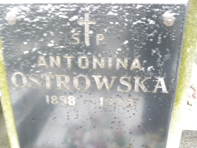 Antonina Ostrowska 1898 Żyrardów - Grobonet - Wyszukiwarka osób pochowanych