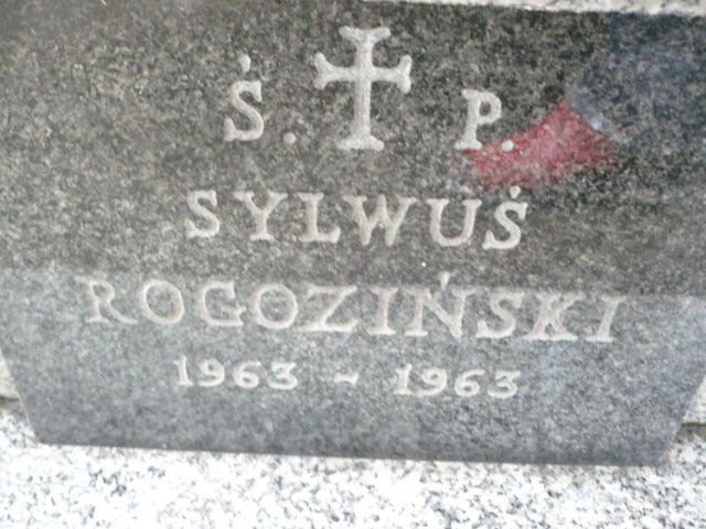 Sylwester Rogoziński 1963 Żyrardów - Grobonet - Wyszukiwarka osób pochowanych