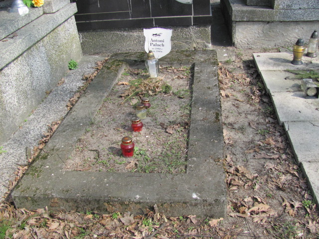 Antoni Paluch 1882 Żyrardów - Grobonet - Wyszukiwarka osób pochowanych