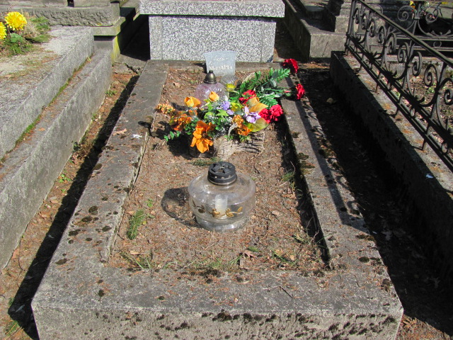   Żyrardów - Grobonet - Wyszukiwarka osób pochowanych