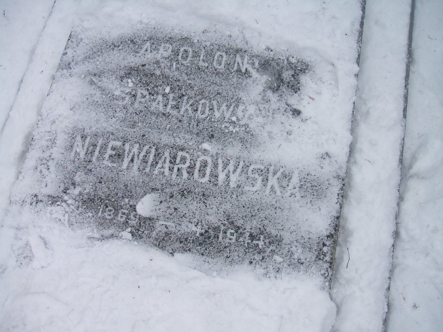 Apolonia Niewiarowska 1869 Żyrardów - Grobonet - Wyszukiwarka osób pochowanych