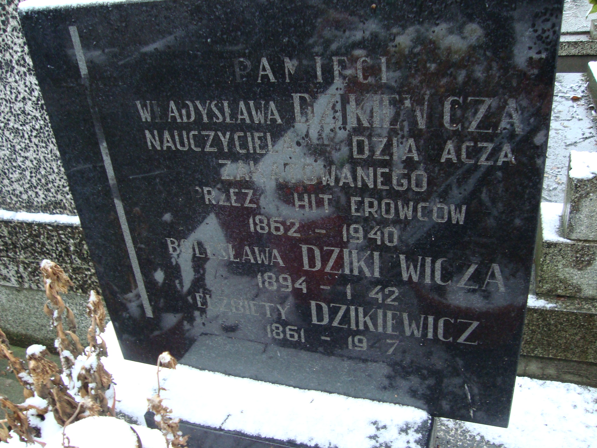 Bolesław Dzikiewicz 1894 Żyrardów - Grobonet - Wyszukiwarka osób pochowanych