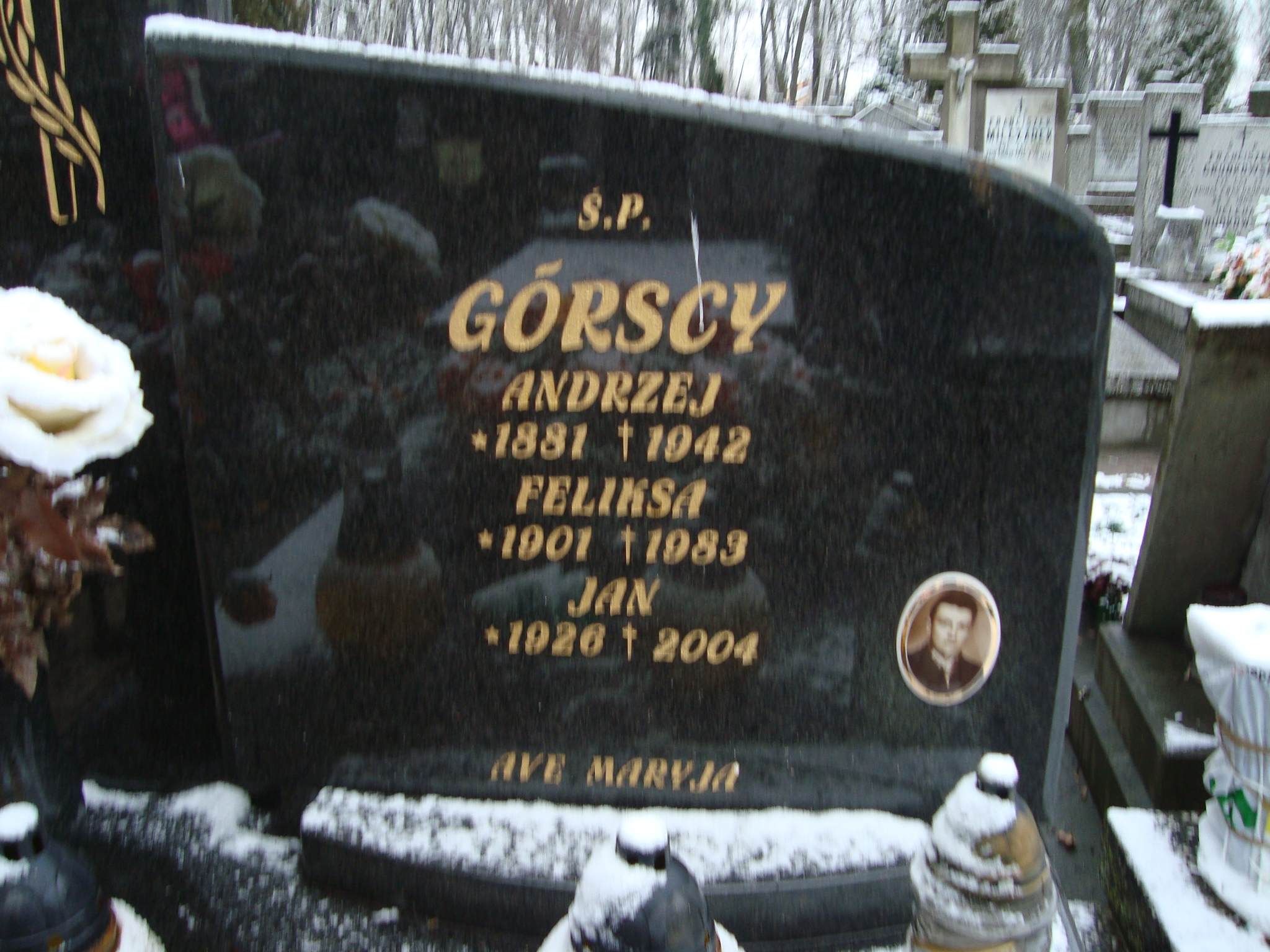 Andrzej Górski 1881 Żyrardów - Grobonet - Wyszukiwarka osób pochowanych