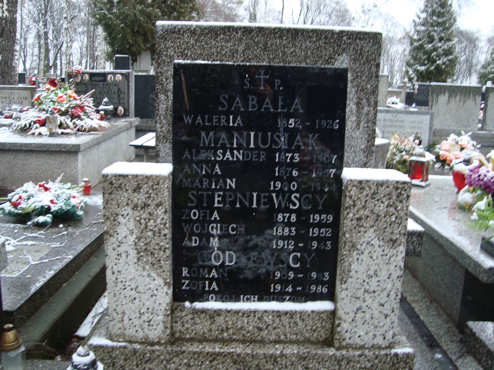 Adam Stępniewski 1912 Żyrardów - Grobonet - Wyszukiwarka osób pochowanych