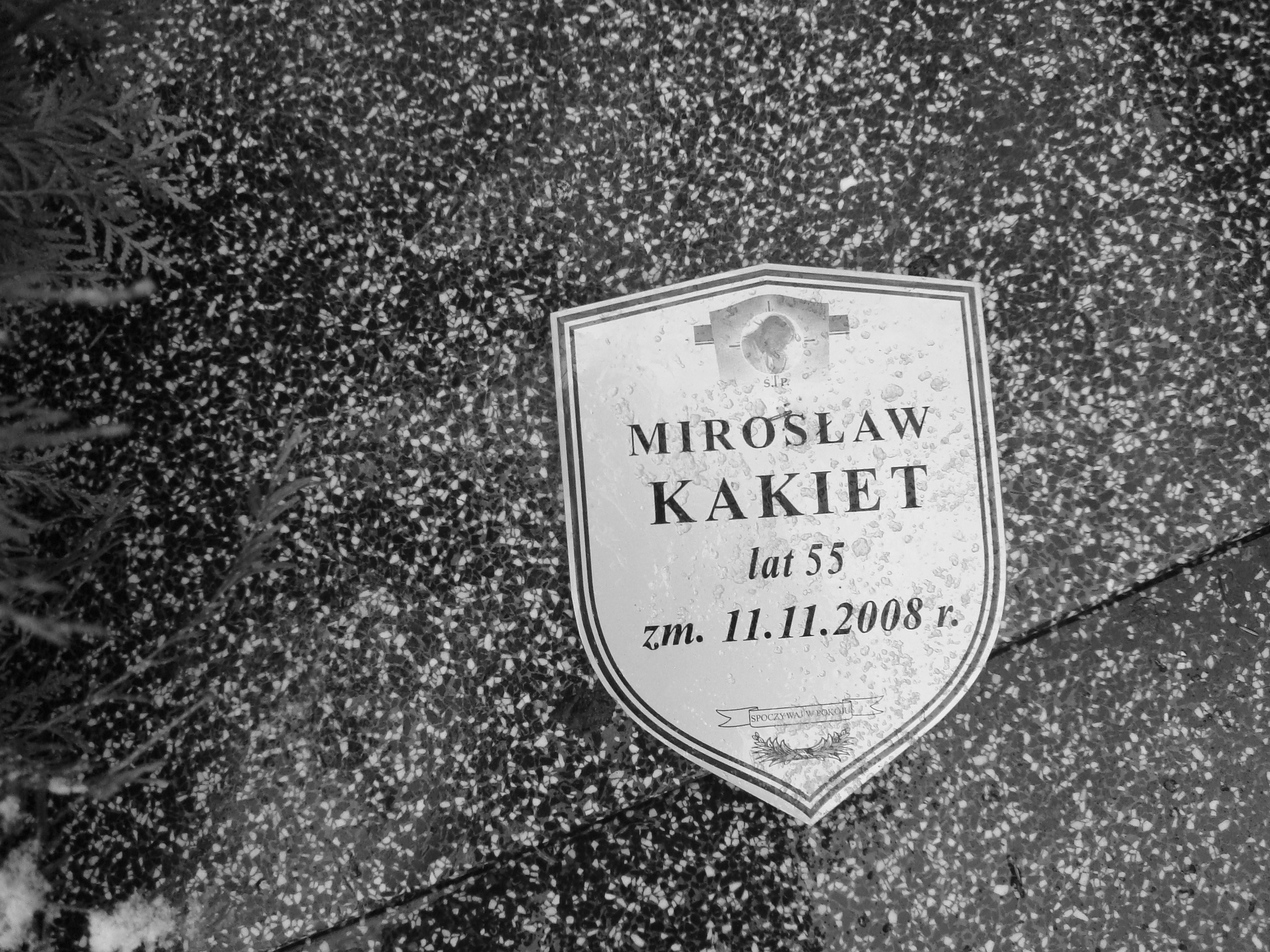 Szczepan Mińkowski 1902 Żyrardów - Grobonet - Wyszukiwarka osób pochowanych