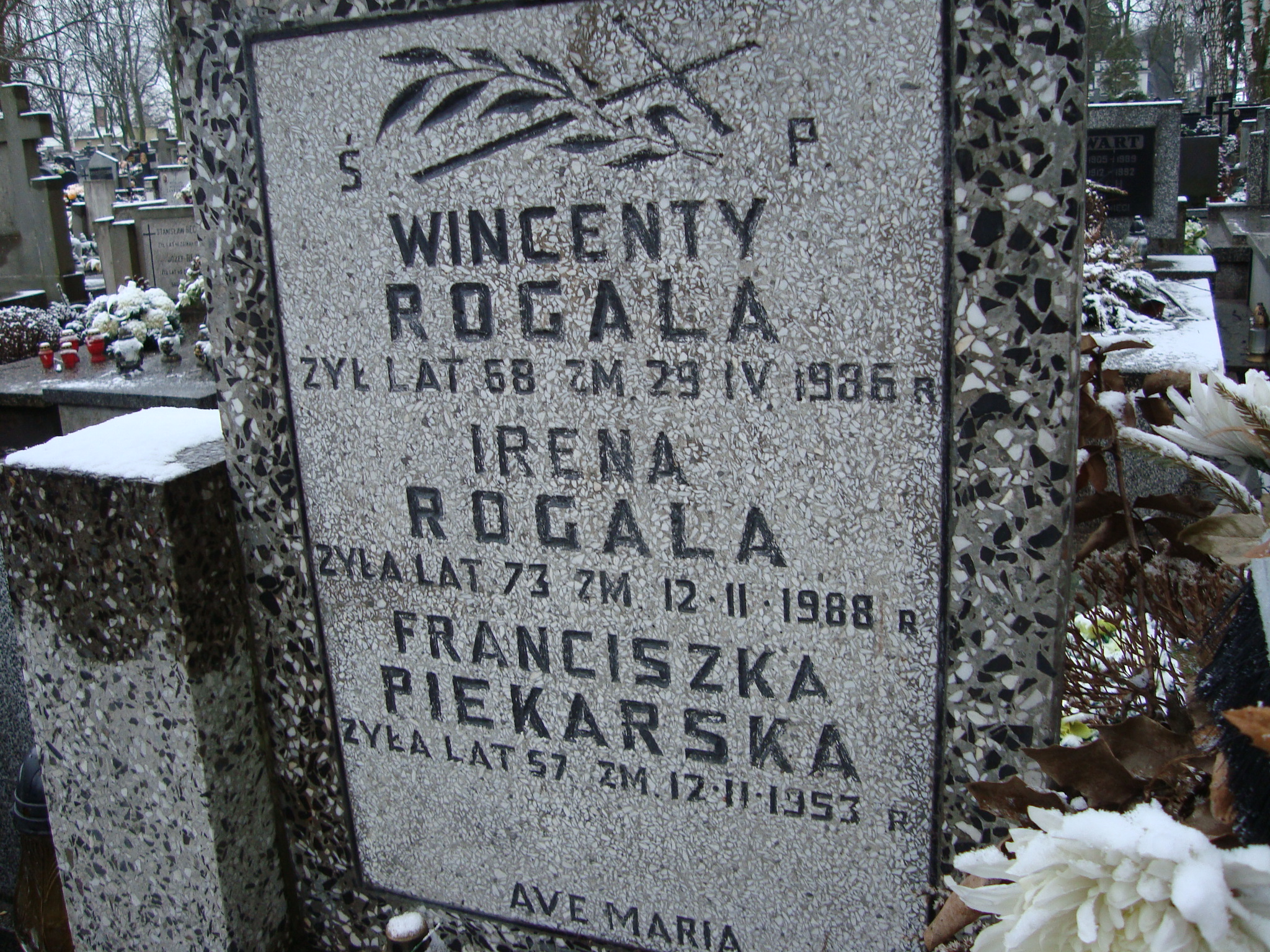 Wincenty Rogala 1918 Żyrardów - Grobonet - Wyszukiwarka osób pochowanych