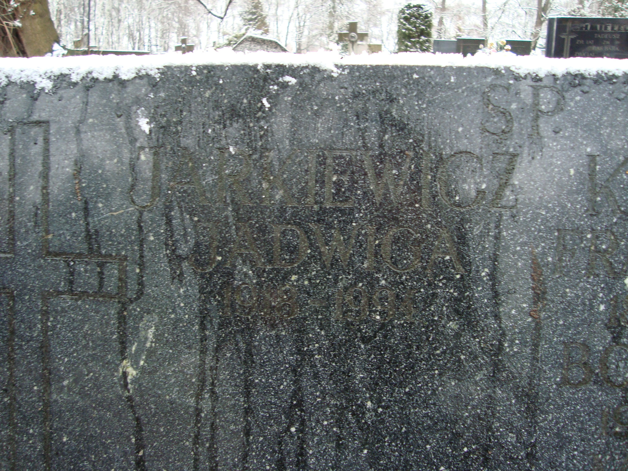 Franciszek Karolak 1882 Żyrardów - Grobonet - Wyszukiwarka osób pochowanych