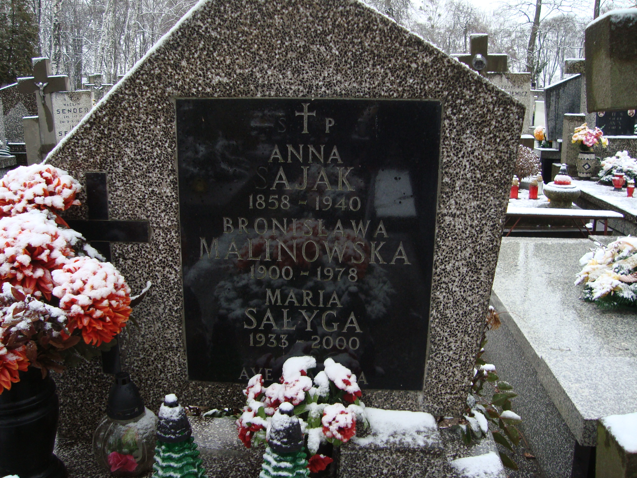 Anna Sajak 1858 Żyrardów - Grobonet - Wyszukiwarka osób pochowanych