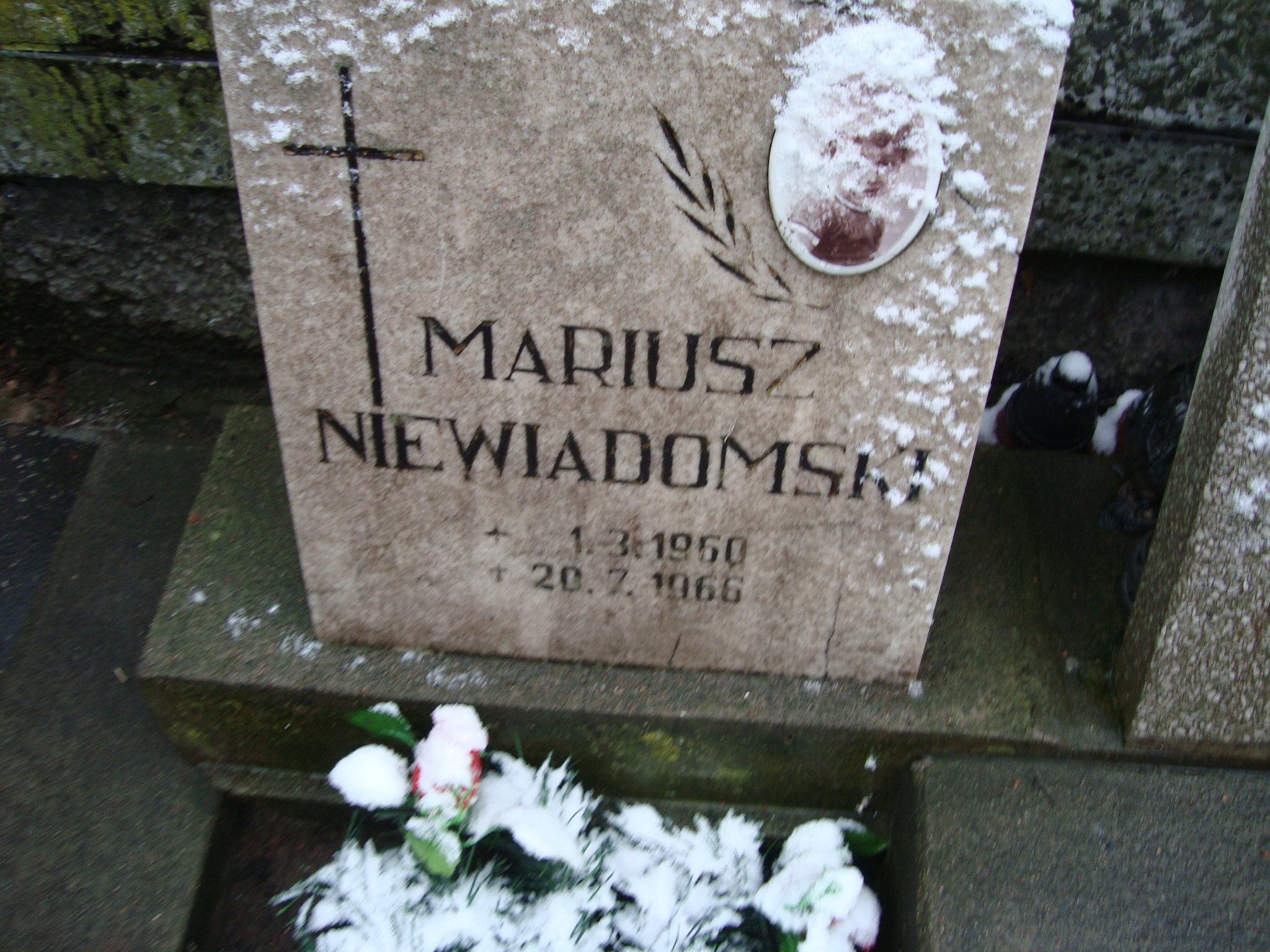 Władysława Pec Żyrardów - Grobonet - Wyszukiwarka osób pochowanych
