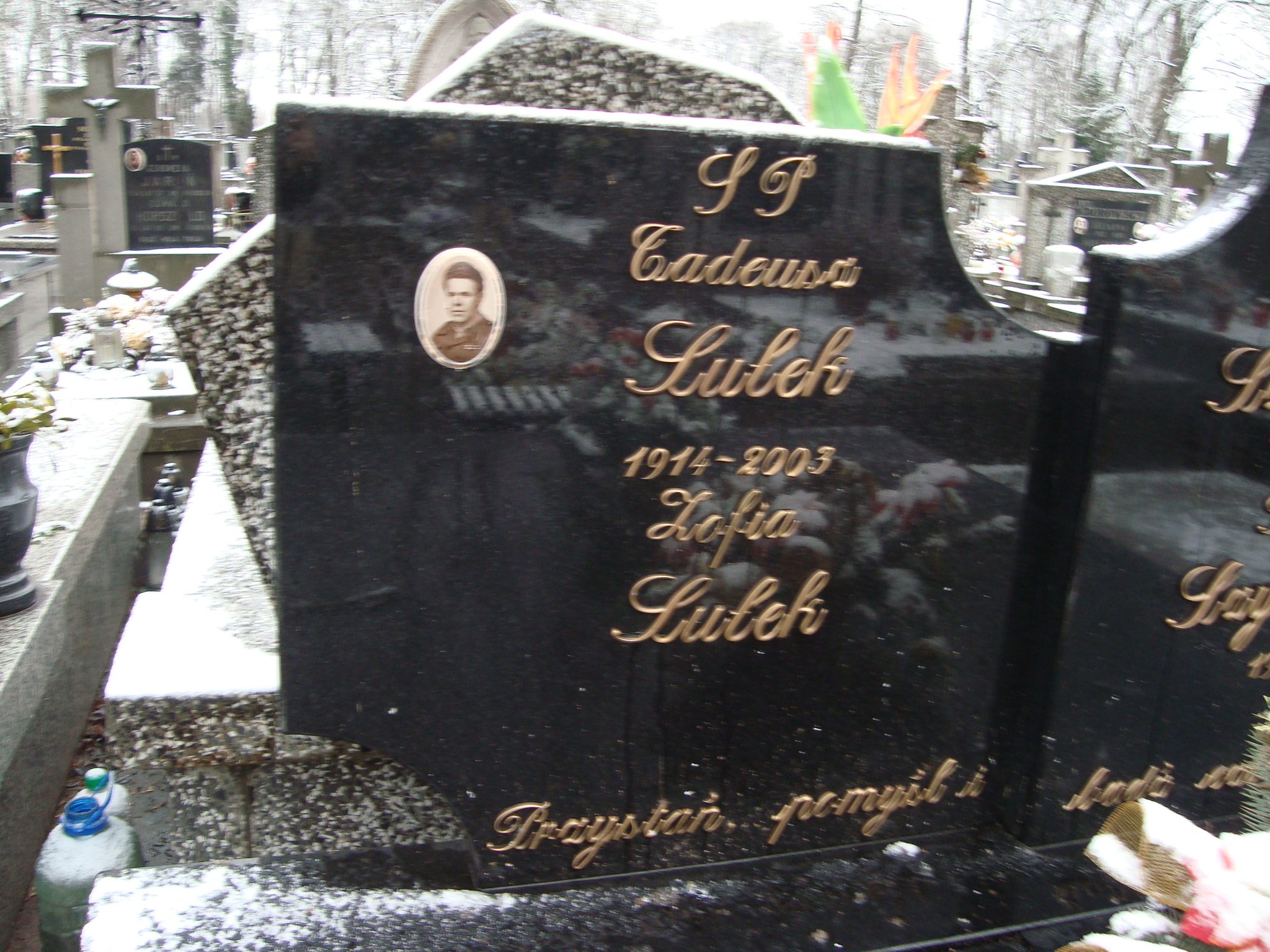 Franciszek Szymańczak 1890 Żyrardów - Grobonet - Wyszukiwarka osób pochowanych