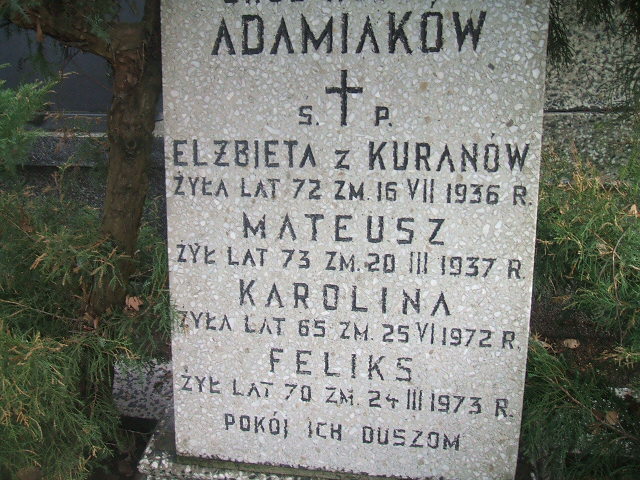 Karolina Adamiak 1907 Żyrardów - Grobonet - Wyszukiwarka osób pochowanych