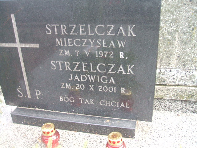 Jadwiga Strzelczak 1913 Żyrardów - Grobonet - Wyszukiwarka osób pochowanych