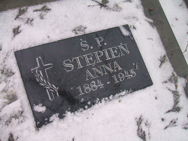 Anna Stępień 1884 Żyrardów - Grobonet - Wyszukiwarka osób pochowanych