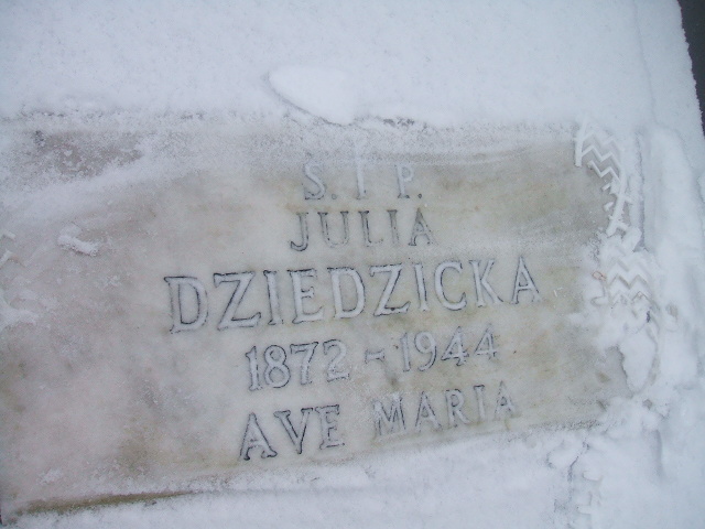 Julia Dziedzicka 1872 Żyrardów - Grobonet - Wyszukiwarka osób pochowanych