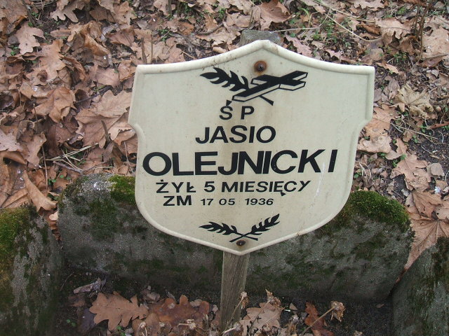 Jan Olejnicki Żyrardów - Grobonet - Wyszukiwarka osób pochowanych