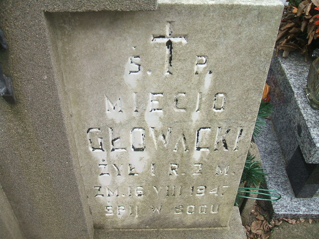 Mieczysław Głowacki Żyrardów - Grobonet - Wyszukiwarka osób pochowanych