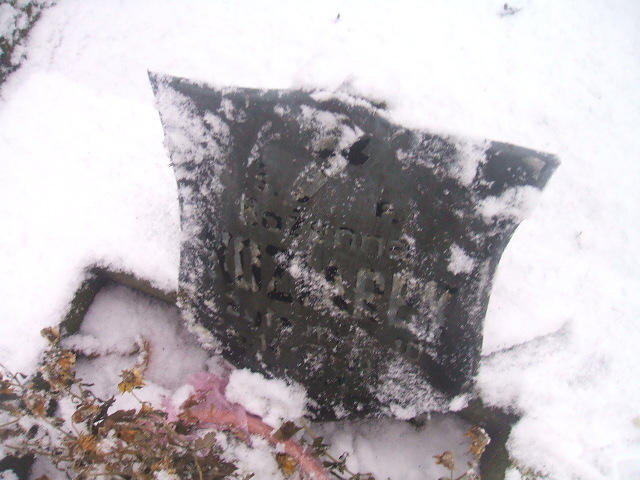 Bożenna Koziarek 1953 Żyrardów - Grobonet - Wyszukiwarka osób pochowanych