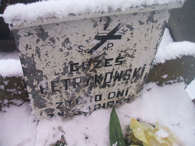 Grzegorz Petrykowski Żyrardów - Grobonet - Wyszukiwarka osób pochowanych