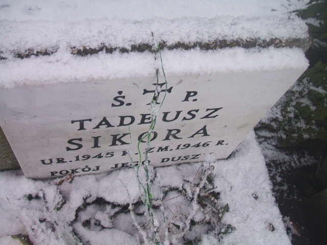 Tadeusz Sikora 1951 Żyrardów - Grobonet - Wyszukiwarka osób pochowanych