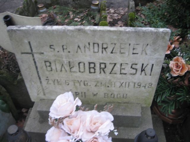 Andrzej Białobrzeski Żyrardów - Grobonet - Wyszukiwarka osób pochowanych