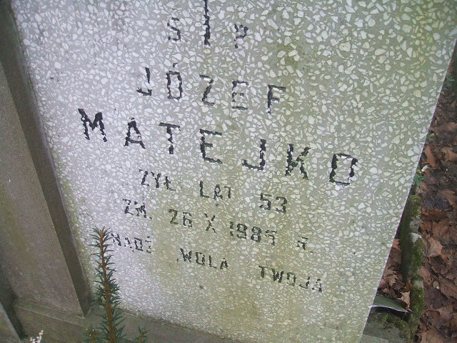 Adam Edward Matejko 1958 Żyrardów - Grobonet - Wyszukiwarka osób pochowanych