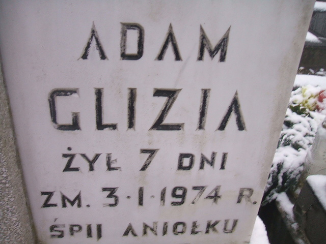 Adam Glizia 1973 Żyrardów - Grobonet - Wyszukiwarka osób pochowanych