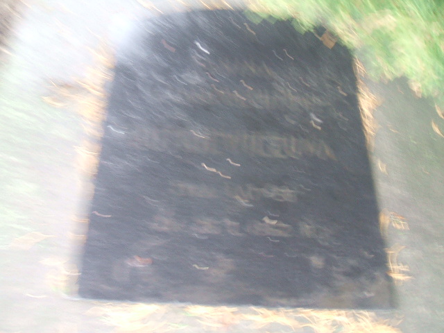 Janina Butkiewicz Żyrardów - Grobonet - Wyszukiwarka osób pochowanych